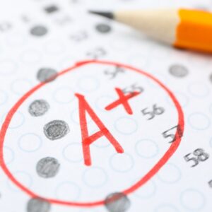 University Exam Success Program (A1-B1 & ESP Levels)