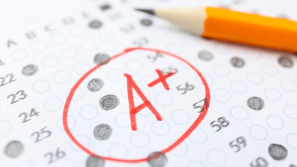 University Exam Success Program (A1-B1 & ESP Levels)